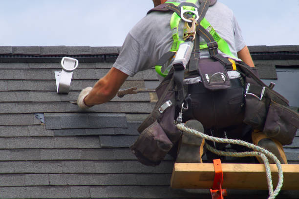 Best Roof Insulation Installation  in Spring Arbor, MI